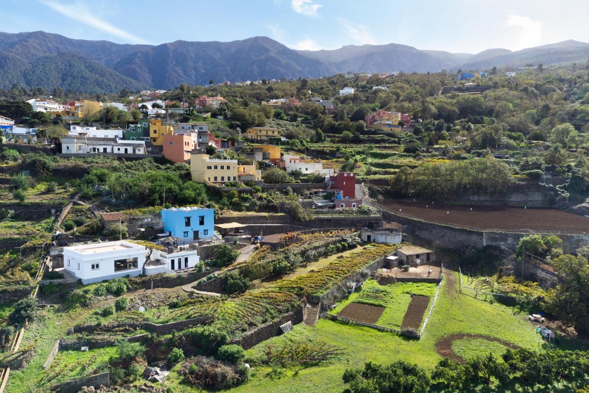 Ek Drago Finca El Milagro La Orotava Extérieur photo