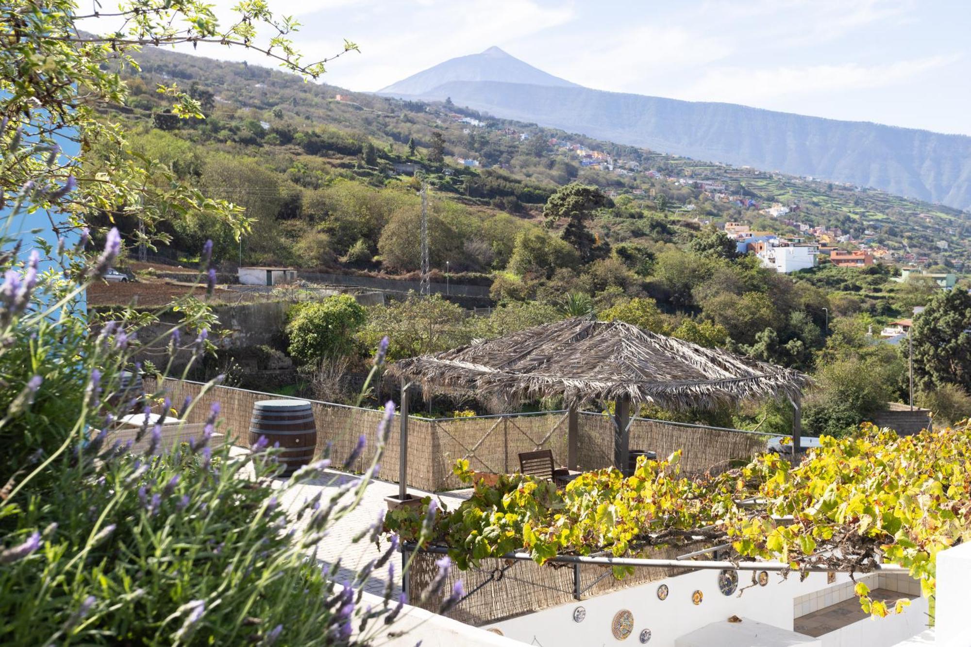 Ek Drago Finca El Milagro La Orotava Extérieur photo