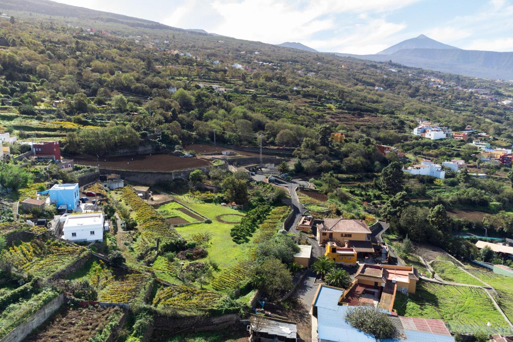 Ek Drago Finca El Milagro La Orotava Extérieur photo