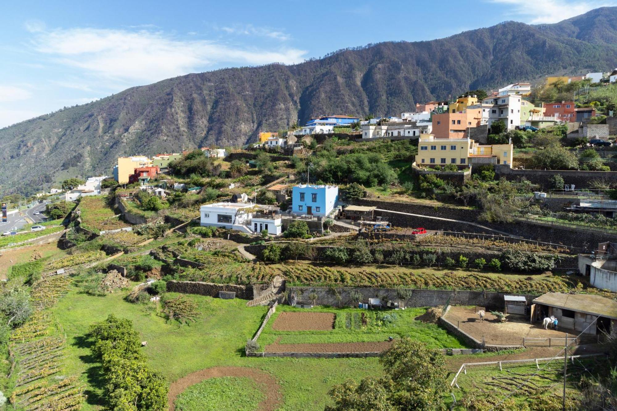 Ek Drago Finca El Milagro La Orotava Extérieur photo